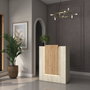Hanah Home Mesa de Recepción MA104 - 4748 con Iluminación LED